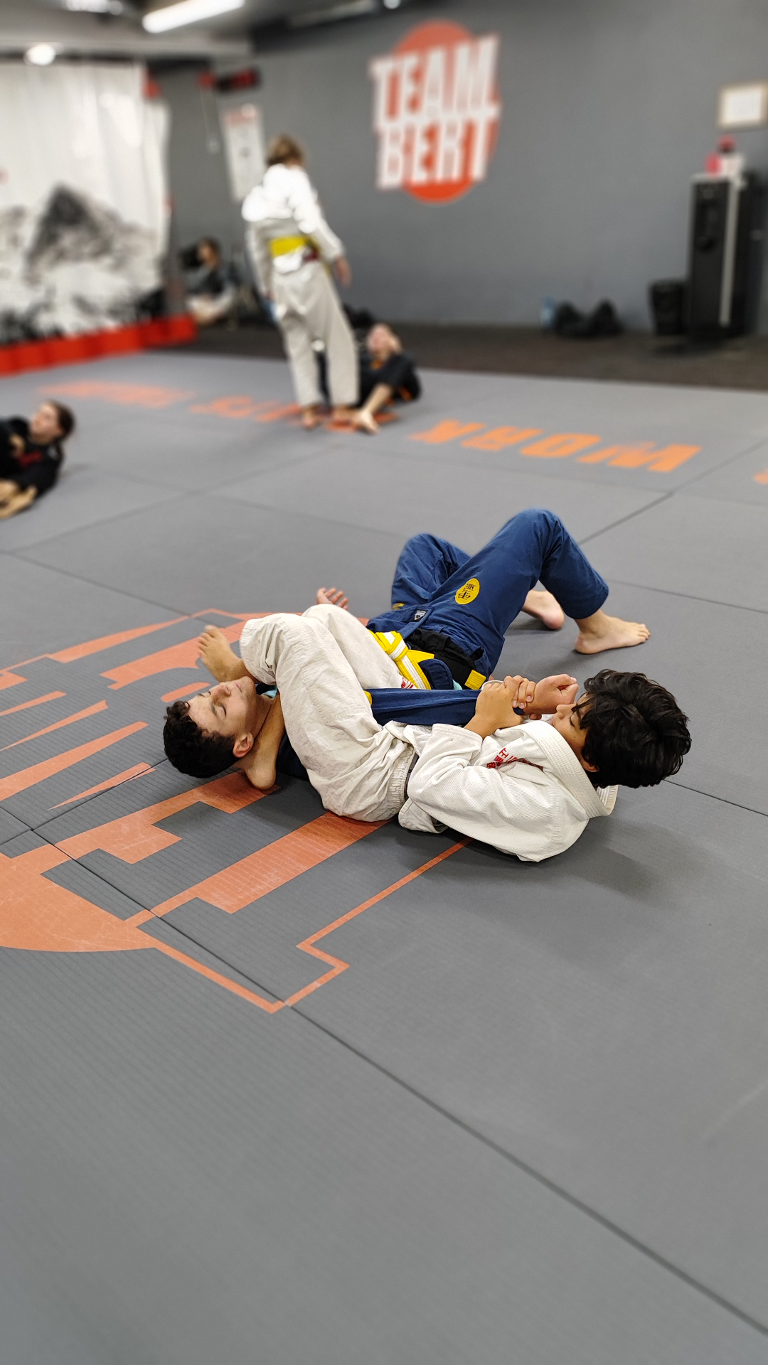 BJJ training